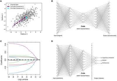 Alzheimer's disease detection using data fusion with a deep supervised encoder